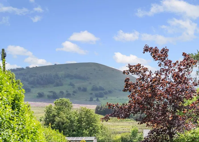 2 Bed In Oc-s32564 Nyaraló *